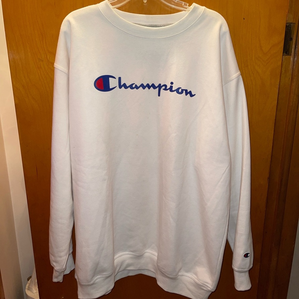 Mens Champion Sweater